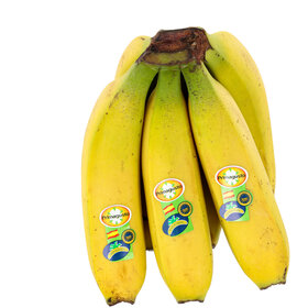 Primagusto Canary Bananas ca. 1kg