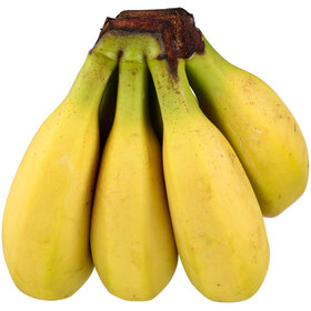 Primagusto Canary Bananas ca. 1kg